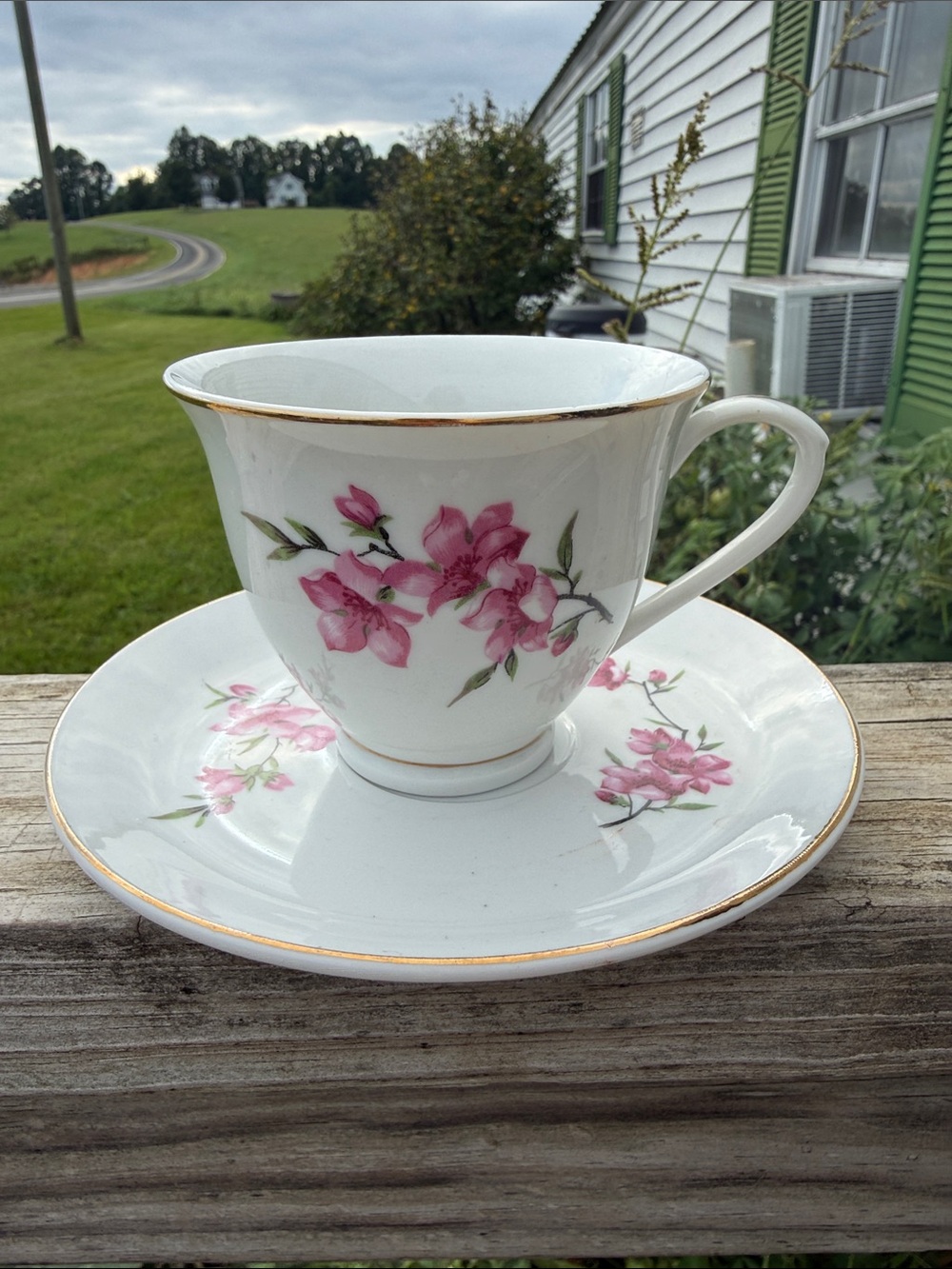 Vintage White Porcelain Cup and Saucer with Pink Floral and Gold Trim